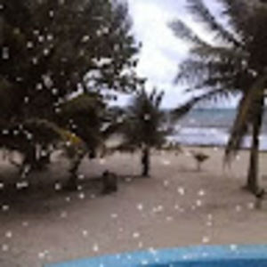 Meet your Posher, Caryn